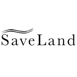 Oscar Living Distributor utama Springbed Saveland