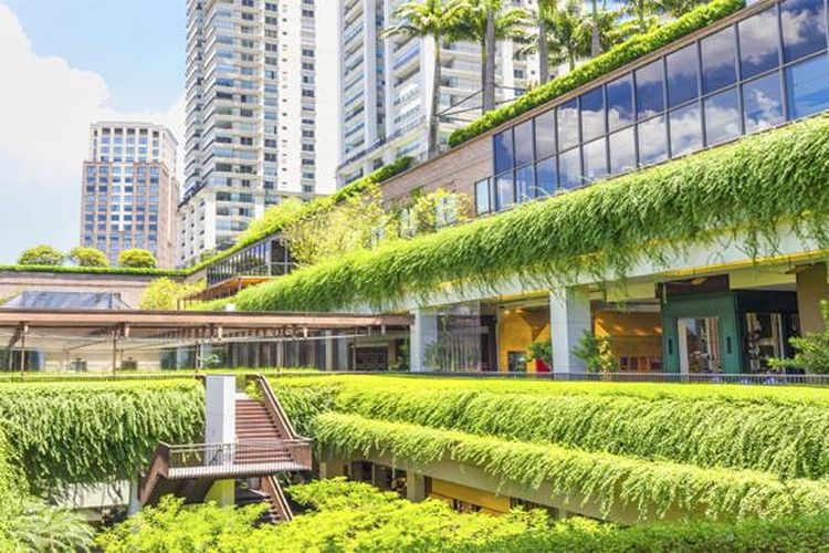 5 Tren Desain Kantor Populer Tahun 2024 - OSCARLIVING