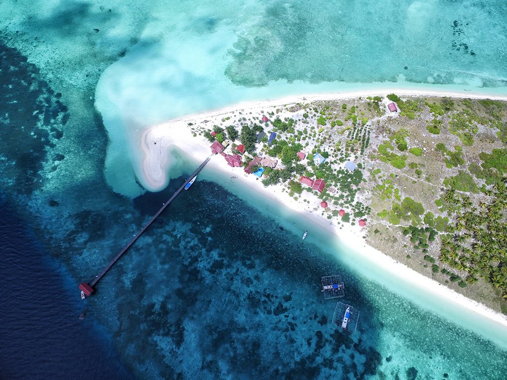 BERENANG DENGAN IKAN HIU DI TAMAN NASIONAL TAKABONARATE - OSCARLIVING