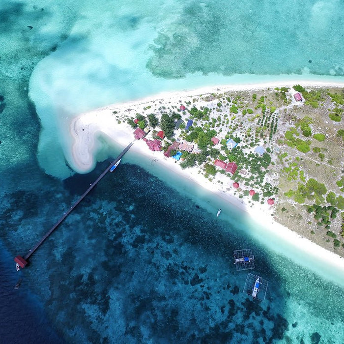 BERENANG DENGAN IKAN HIU DI TAMAN NASIONAL TAKABONARATE - OSCARLIVING