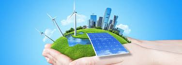 Bisnis yang tumbuh berkelanjutan - OSCARLIVING