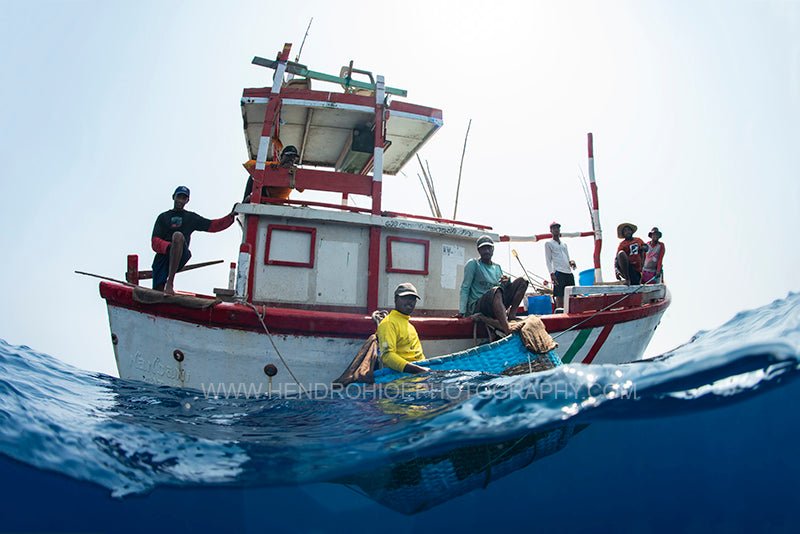 Dampak Overfishing di Indonesia Bagi Nelayan Kecil - OSCARLIVING
