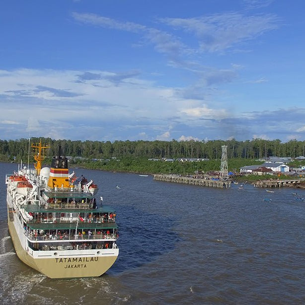 Kota Diatas Papan yang menjadi Ibukota suku Asmat - OSCARLIVING