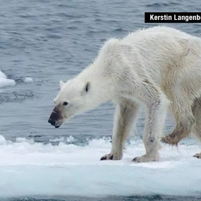 Pemanasan Global dan Kutub utara memberikan dampak tidak hanya pada negara negara di belahan utara namun juga memberikan dampak bagi Indonesia - OSCARLIVING