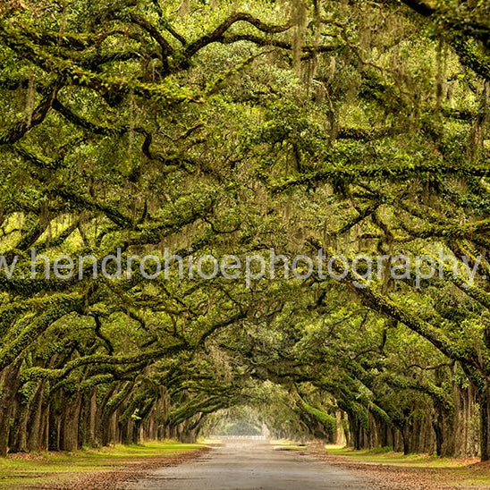 Rumah Sultan satu ini memang sultan beneran, jalan masuk nya aja 1,5 KM , bayangin !!!! - OSCARLIVING
