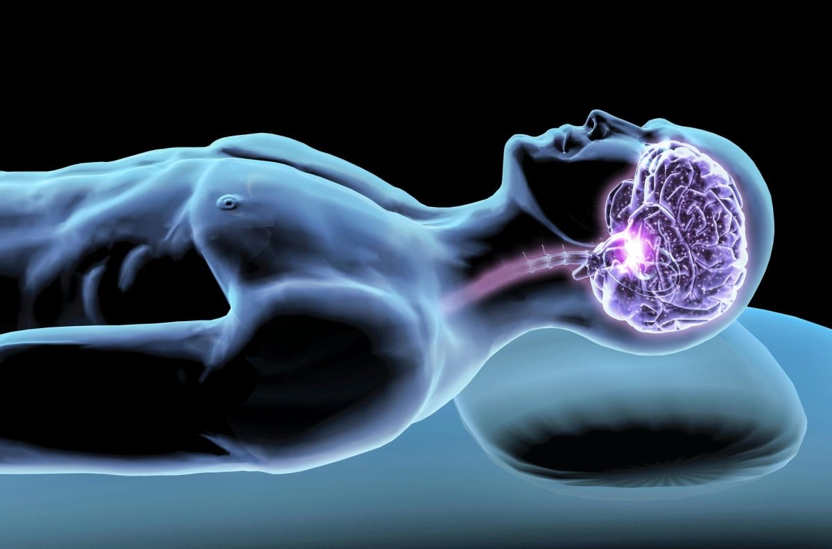 Sleep & brain health - OSCARLIVING