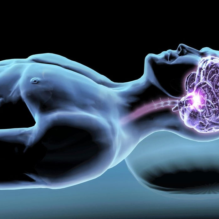 Sleep & brain health - OSCARLIVING