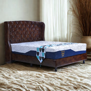 KASUR - SPRINGBED Kasur Springbed Orthopedic Latex spring Sleep Monarchy Knights | Fullset Fullham SLEEP MONARCHY OSCARLIVING