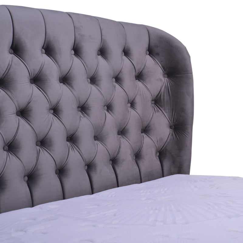 Kasur Springbed Orthopedic Latex spring Sleep Monarchy Knights | Fullset Celtics