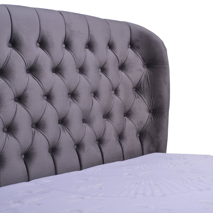 Kasur Springbed Orthopedic Latex spring Sleep Monarchy Knights | Fullset Celtics