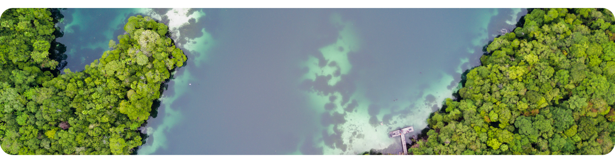 OSCARLIVING MENDUKUNG INDONESIA ZERO CARBON 2060