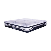 Kasur Springbed Therapedic Agility M di Oscar Living dengan harga termurah