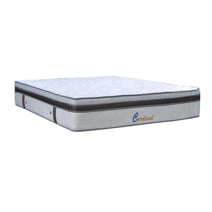 KASUR - SPRINGBED Kasur Springbed Eversoft Cardinal Double Plushtop EVERSOFT OSCARLIVING
