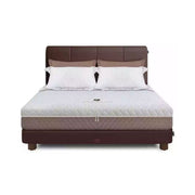 Kasur Springbed Quantum Posture Master Ortho Zipper HB Ferguson di Oscar Living dengan harga termurah