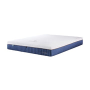 Kasur Springbed Quantum Posture Master Pocket Latex Zipper HB Bedford di Oscar Living dengan harga termurah