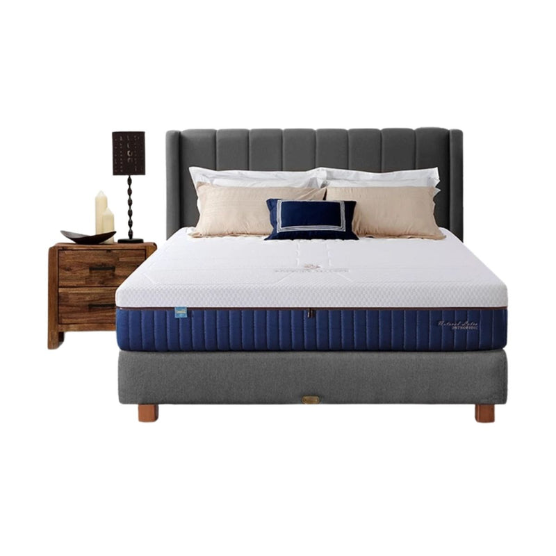 Kasur Springbed Quantum Posture Master Pocket Latex Zipper HB Bedford di Oscar Living dengan harga termurah