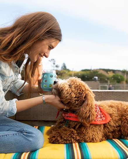 Botol Bayi Gelas wine Lifefactory Silikon Sleeve 17 oz BPA Free - Paket 2 LIFEFACTORY OSCARLIVING