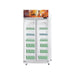CHILLER Sub Zero Cooler Gea Expo - 1050BC GEA OSCARLIVING