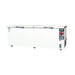 FREEZER Chest Freezer Gea AB - 1200 - T - X GEA OSCARLIVING