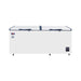 FREEZER Chest Freezer Gea AB - 620 - ITR GEA OSCARLIVING