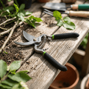 GUNTING TANAMAN Gunting Tanaman Tekiro Pruning Shear Curved GDPS1782 TEKIRO OSCARLIVING