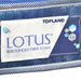 KASUR BUSA Kasur Busa Lotus Rebounded Fiber Foam LOTUS OSCARLIVING