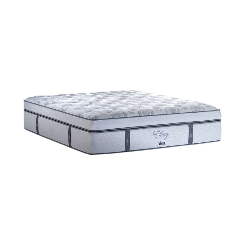 KASUR - SPRINGBED Kasur Springbed Alga Ellery ALGA OSCARLIVING