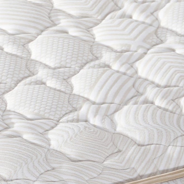 KASUR - SPRINGBED Kasur Springbed Alga Gold Silk ALGA OSCARLIVING