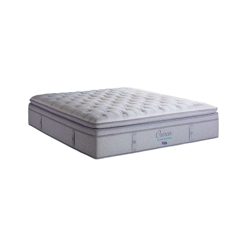 KASUR - SPRINGBED Kasur Springbed Alga Owen ALGA OSCARLIVING