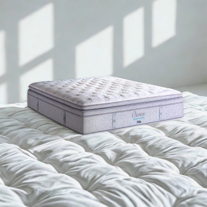 KASUR - SPRINGBED Kasur Springbed Alga Owen ALGA OSCARLIVING