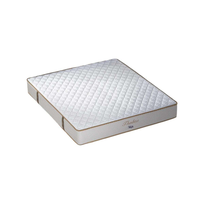 KASUR - SPRINGBED Kasur Springbed Alga Thalita ALGA OSCARLIVING