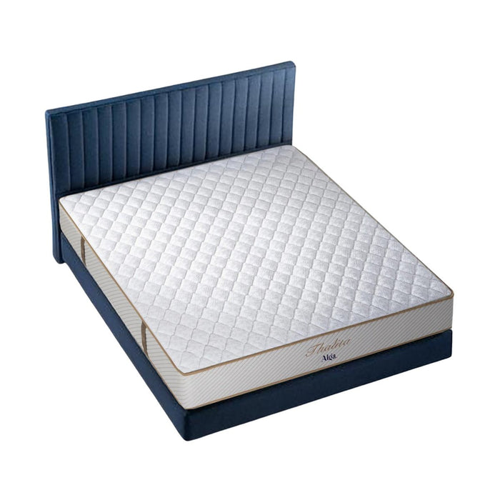 KASUR - SPRINGBED Kasur Springbed Alga Thalita Set Madison ALGA OSCARLIVING