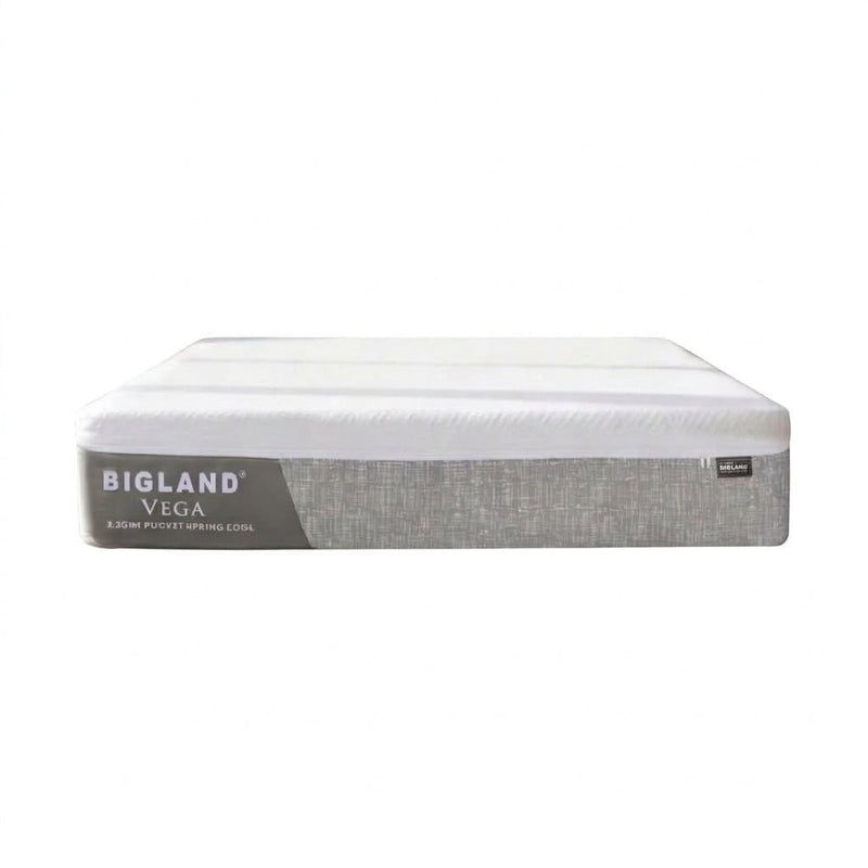 KASUR - SPRINGBED Kasur Springbed Bigland Vega | Mattress Only BIGLAND OSCARLIVING