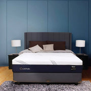 KASUR - SPRINGBED Kasur Springbed Central Life Pedic HB Dakota CENTRAL OSCARLIVING