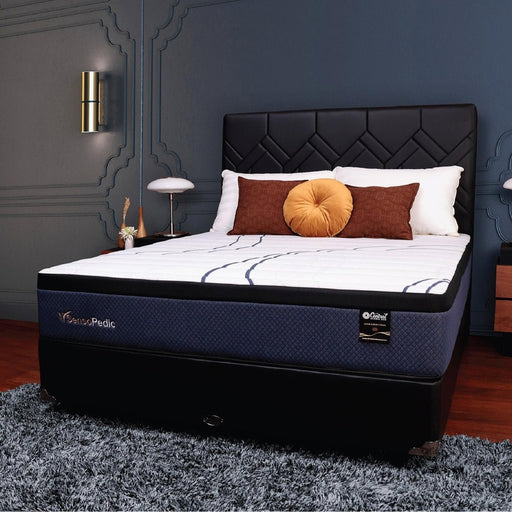 KASUR - SPRINGBED Kasur Springbed Central Senso Pedic HB Oasis CENTRAL OSCARLIVING