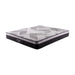 KASUR - SPRINGBED Kasur Springbed Comforta Neo Star COMFORTA OSCARLIVING