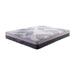 KASUR - SPRINGBED Kasur Springbed Comforta Neo Star COMFORTA OSCARLIVING