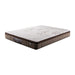 KASUR - SPRINGBED Kasur Springbed Comforta Super Pedic COMFORTA OSCARLIVING