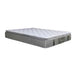 KASUR - SPRINGBED Kasur Springbed Dunlopillo Benedict DUNLOPILLO OSCARLIVING