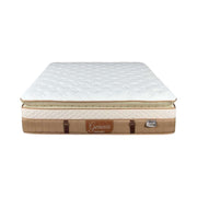 KASUR - SPRINGBED Kasur Springbed Dunlopillo Genesis DUNLOPILLO OSCARLIVING