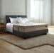 KASUR - SPRINGBED Kasur Springbed Florence Chiro Care | Fullset Concerto FLORENCE OSCARLIVING