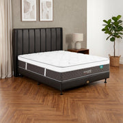 KASUR - SPRINGBED Kasur Springbed Guhdo Adagard Plush Top HB Marina KP Divan Sienna GUHDO OSCARLIVING