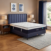 KASUR - SPRINGBED Kasur Springbed Guhdo Adagio HB Marina Divan Atlantic GUHDO OSCARLIVING