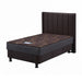 KASUR - SPRINGBED Kasur Springbed Guhdo Drawer Bed New Prima HB Marina KP GUHDO OSCARLIVING