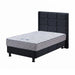KASUR - SPRINGBED Kasur Springbed Guhdo Drawer Bed New Prima HB Tamara KP GUHDO OSCARLIVING