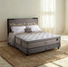 KASUR - SPRINGBED Kasur Springbed KingKoil Chiro Endorsed Fullset Antelope KINGKOIL OSCARLIVING