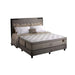 KASUR - SPRINGBED Kasur Springbed KingKoil Chiro Endorsed Fullset Antelope KINGKOIL OSCARLIVING