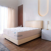 KASUR - SPRINGBED Kasur Springbed Ocean Harmony Classical | Set Amor OCEAN OSCARLIVING