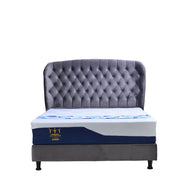 KASUR - SPRINGBED Kasur Springbed Orthopedic Latex spring Sleep Monarchy Knights | Fullset Celtics SLEEP MONARCHY OSCARLIVING