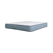 KASUR - SPRINGBED Kasur Springbed Quantum Millennium Scandinavian HB Scandiv QUANTUM OSCARLIVING